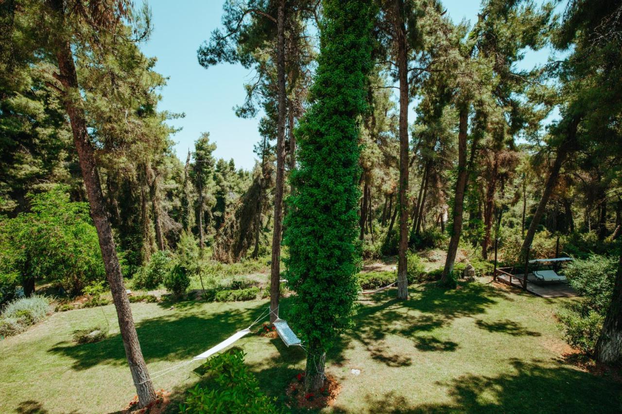 Beautiful Summerhouse In Sani'S Pine Forest Сани Бийч Екстериор снимка